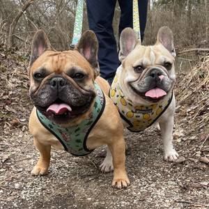 Meet your Posher, Lulu